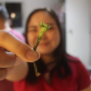 Charisse Aldabe profile icon