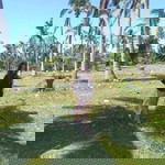 Nica Mina profile icon