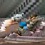 phantila profile icon