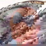 Arnhy Nhy O profile icon