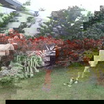 Mabel Lagutin profile icon