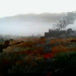 xxShakirraj08_99 Lee profile icon