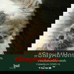 Ratcha Boon profile icon