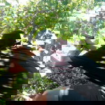 Borhan Timan Sansaluna Abbas profile icon