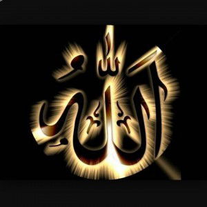 Dyanah Rahman profile icon