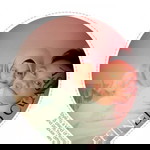 Din Yen profile icon