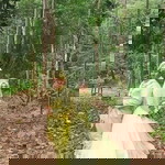 Shidah Yahya profile icon