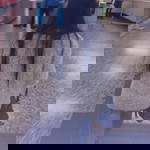 Silvia Suparyono profile icon