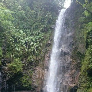 Delly Febriany profile icon