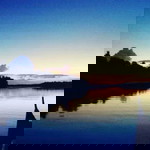 Janice Gruta profile icon