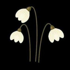 Syakirotun Nikmah profile icon