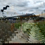 Tiew Smily profile icon