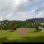 Diana Romero profile icon