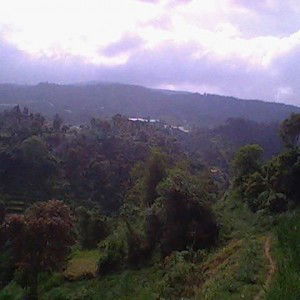 Soviah Faiqatu profile icon