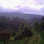 Soviah Faiqatu profile icon