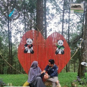 Deliz Anggraeny profile icon