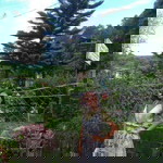 Andreyarah Rosales profile icon