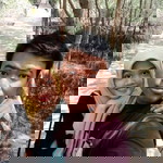 Zumrotul wakhidah profile icon