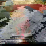 Donny Erfansyah profile icon