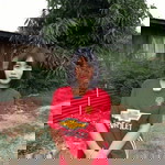 แบม จัง. profile icon