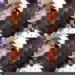 Annisa Caesaria profile icon