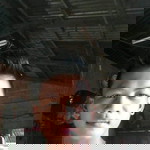 Jhayar Espiritu Tactay profile icon