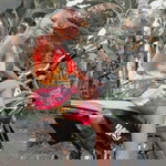 Atin Ayu Listari profile icon