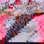 Andi Nurjannah Tulma'wa profile icon