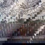 Iume Natha profile icon