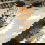 Ulfa Mariana Yusuf profile icon