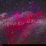 Joylhyn Dimaculangan profile icon