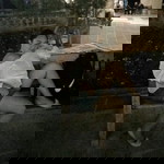 Carla Marie profile icon