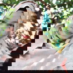 Nur Aliyah profile icon