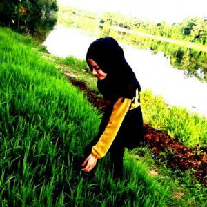 Shah Aida profile icon