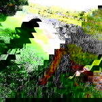 Shah Aida profile icon