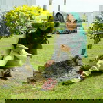 Masitah Jaffar profile icon