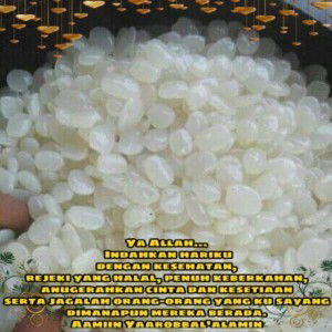 Kolang Kaling Atthaya Zulfikar profile icon