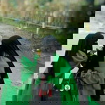 Neol Chuby profile icon