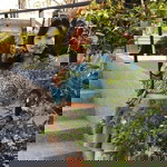 Orawan Yingnok profile icon