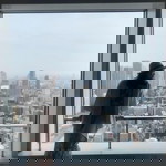 Meiji Chen profile icon