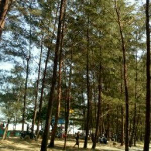 Aslamiah profile icon