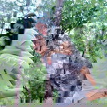 Herdiana Malau profile icon