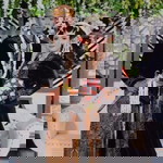 Fazza Faeyza profile icon