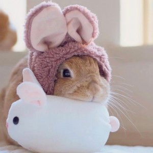 miranti devv profile icon