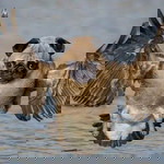 PANGPOND BAND profile icon