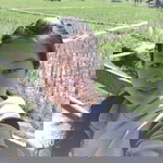 ป๋องแป้ง ค่ะ profile icon