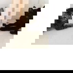 Ikura Kakenoshita profile icon