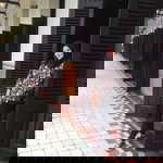 Triya Ayu Lestari profile icon