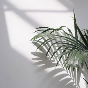 Fierda Utami profile icon