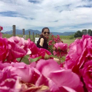 Jess Iskandar Tanuimanda profile icon